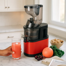 Cold Press Juicer Machine for Home Use with 2 Containers by LJGDeals