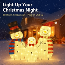 2D Christmas Snowman Yard Decoration with LED Lights by LJGDeals