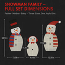 2D Christmas Snowman Yard Decoration with LED Lights by LJGDeals