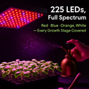 LED Grow Light Full Spectrum Hanging 225 LEDs Plant Grow Lamp Indoor Grow Light for Greenhouse Succulents Seedlings Plants Veg and Flower（15W LEDs） by LJGDeals
