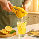 Lemon Squeezer Fold Flat Design 2-Hand Pivot by LJGDeals