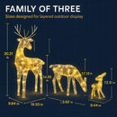 Reindeer Family 2D Christmas Deer Decoration with 3 Modes by LJGDeals