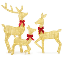 2D Lighted Christmas Deer Family Set (Indoor/Outdoor) by LJGDeals