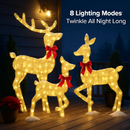 2D Lighted Christmas Deer Family Set (Indoor/Outdoor) by LJGDeals