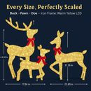 2D Lighted Christmas Deer Family Set (Indoor/Outdoor) by LJGDeals
