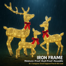 2D Lighted Christmas Deer Family Set (Indoor/Outdoor) by LJGDeals