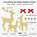 2D Lighted Christmas Deer Family Set (Indoor/Outdoor) by LJGDeals