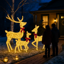 2D Lighted Christmas Deer Family Set (Indoor/Outdoor) by LJGDeals