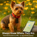 GPS Tracker Magnetic Anti-Theft Locator for Vehicles by LJGDeals