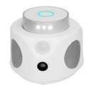 360° Ultrasonic Rodent Repellent for Indoor Use by LJGDeals