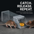 Automatic Continuous Rat Trap for Small Rodents by LJGDeals