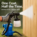 Paint Sprayer for Wood and Furniture Finishes by LJGDeals