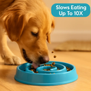 Slow Feeder Healthy Dog Bowl Puzzle Maze for Dogs by LJGDeals