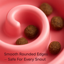 Slow Feeder Healthy Dog Bowl Puzzle Maze for Dogs by LJGDeals
