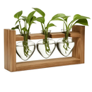 Heart Vase Plant Terrarium Station with Wood Stand by LJGDeals