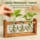 Heart Vase Plant Terrarium Station with Wood Stand by LJGDeals