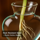 Heart Vase Plant Terrarium Station with Wood Stand by LJGDeals