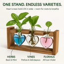 Heart Vase Plant Terrarium Station with Wood Stand by LJGDeals