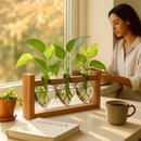 Heart Vase Plant Terrarium Station with Wood Stand by LJGDeals