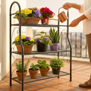 3 Tier Plant Stand Shelf for Indoor Outdoor Display by LJGDeals