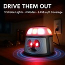 360° Ultrasonic Mice Repellent for Indoor Rodents by LJGDeals
