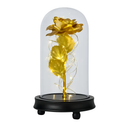 Foil Rose LED String Light Fairy Lamp with Glass Dome by LJGDeals
