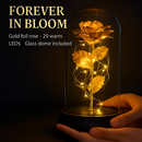 Foil Rose LED String Light Fairy Lamp with Glass Dome by LJGDeals