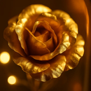 Foil Rose LED String Light Fairy Lamp with Glass Dome by LJGDeals