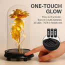 Foil Rose LED String Light Fairy Lamp with Glass Dome by LJGDeals