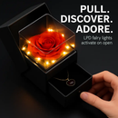 Preserved Red Rose with Heart Necklace Gift Set by LJGDeals