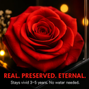 Preserved Red Rose with Heart Necklace Gift Set by LJGDeals