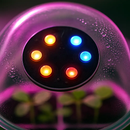 Seed Starter Tray with Grow Light Kit for Indoor Germination by LJGDeals