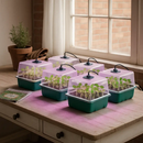 Seed Starter Tray with Grow Light Kit for Indoor Germination by LJGDeals