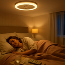 Ceiling Fan with Lights Remote Control Fan Light by LJGDeals