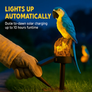 Parrot Garden Light Solar Powered LED Lamp Outdoors by LJGDeals