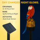 Parrot Garden Light Solar Powered LED Lamp Outdoors by LJGDeals