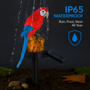 Parrot Garden Light Solar Powered LED Lamp Outdoors by LJGDeals