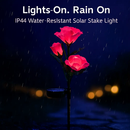 Solar Powered Rose Lights - Water-Resistant Pathway by LJGDeals
