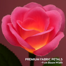 Solar Powered Rose Lights - Water-Resistant Pathway by LJGDeals