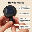 Solar Powered Rose Lights - Water-Resistant Pathway by LJGDeals