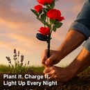 Solar Powered Rose Lights - Water-Resistant Pathway by LJGDeals