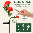 Solar Powered Rose Lights - Water-Resistant Pathway by LJGDeals