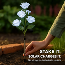 Solar Powered Rose Lights - Water-Resistant Pathway by LJGDeals