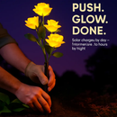 Solar Powered Rose Lights - Water-Resistant Pathway by LJGDeals