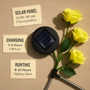 Solar Powered Rose Lights - Water-Resistant Pathway by LJGDeals