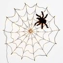 Spider Web Light with Hairy Spider - 3.28ft Decor by LJGDeals