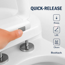 Square Toilet Seat with Grip-Tight Bumpers by LJGDeals