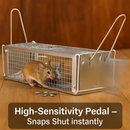 Dual Door Rat Trap Cage: Humane Live Trap for Mice & Rodents by LJGDeals