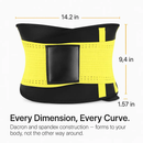 U-Shaped Slimming Waist Belt for Targeted Core Support by LJGDeals