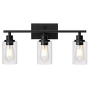 Wall Sconce Lighting with Clear Glass Shade